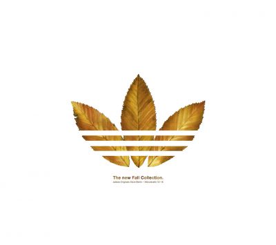 Colección Otoñal de Adidas
