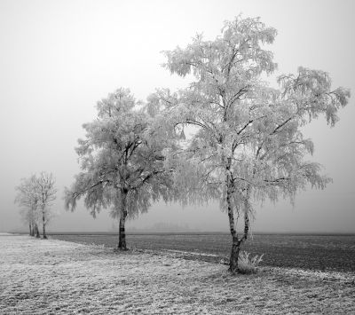 Paisaje Invernal Helado