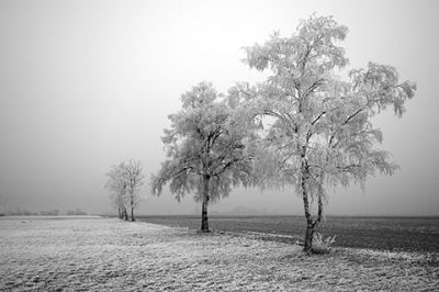Paisaje Invernal Helado