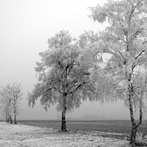 Paisaje Invernal Helado