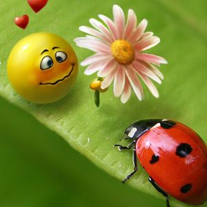 Carita Feliz y Mariquita