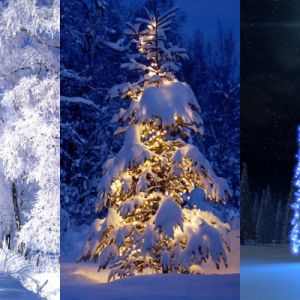Navidad en un País de Invierno