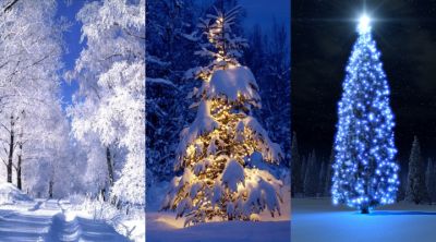 Navidad en un País de Invierno