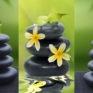 Piedras Zen y Bambú
