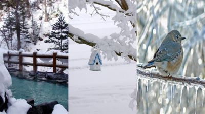 Paisaje Invernal