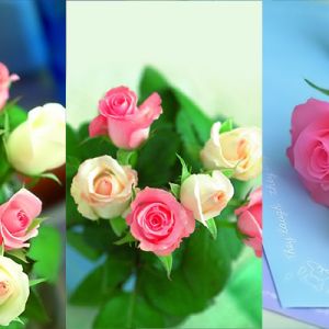 Hermoso Ramo de Rosas