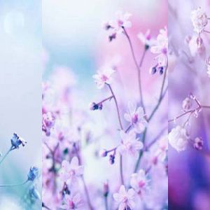 Fondo Floral Delicado