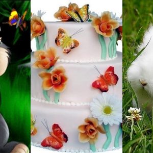 Conejitos y Pastel de Mariposas