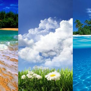 Playas Tropicales y Vistas del Océano