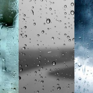 Texturas de un Día Lluvioso