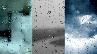 Texturas de un Día Lluvioso