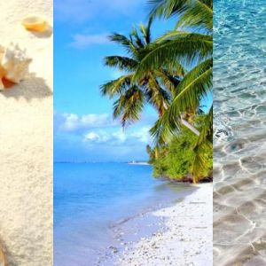 Paraíso de Playa Tropical