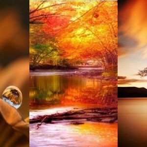 Paisajes de Otoño
