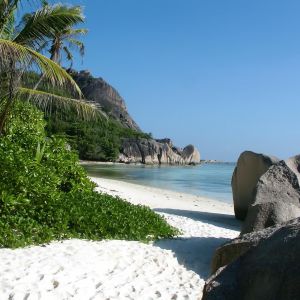 Paraíso de Playa Tropical