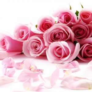 Hermosas Rosas Rosadas