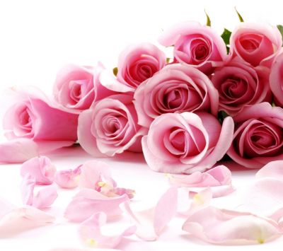 Hermosas Rosas Rosadas