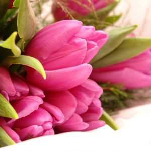 Ramo de Tulipanes Rosas