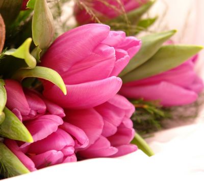 Ramo de Tulipanes Rosas