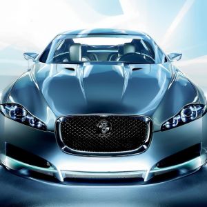 Fondo de Jaguar