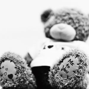 Teddy Bear Amoroso