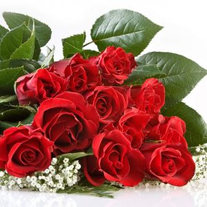 Hermoso Ramo de Rosas Rojas