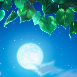 Noche de Luna con Hojas