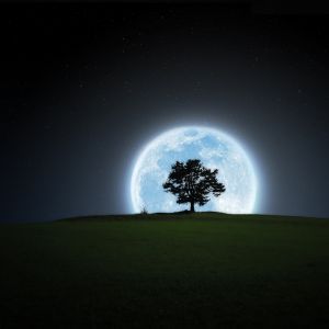 Paisaje con Árbol y Luna