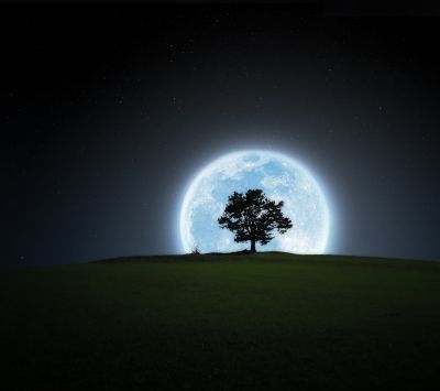 Paisaje con Árbol y Luna