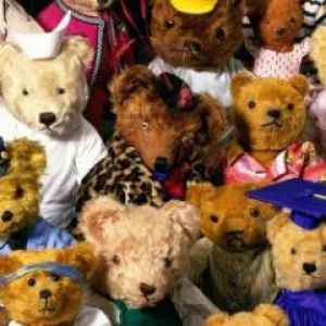 Colección de Ositos Adorables