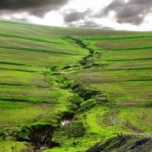Paisaje Verde