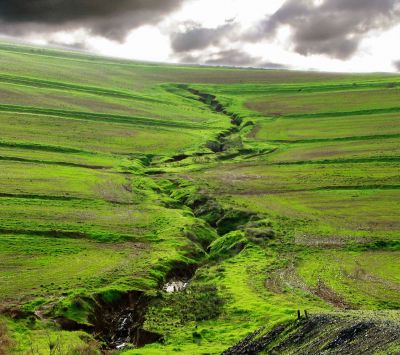 Paisaje Verde