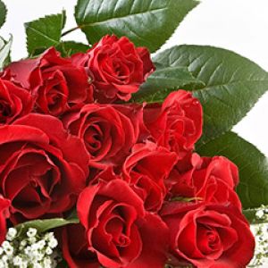 Hermoso Ramo de Rosas Rojas