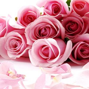 Ramo de Rosas Rosadas