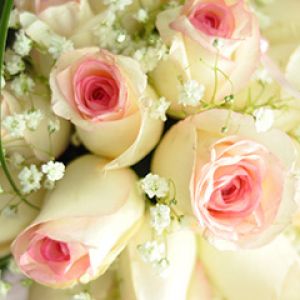 Hermoso Ramo de Rosas Rosadas