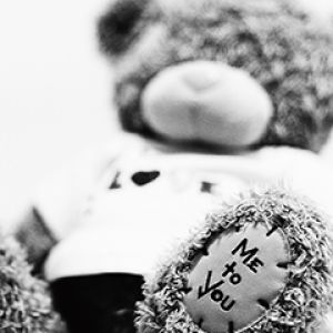 Teddy Bear Amoroso
