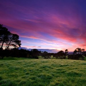 Impresionante atardecer sobre campos verdes