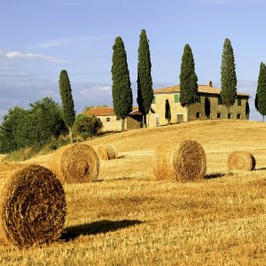 Paisaje Toscano