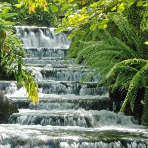 Cascada Serena en la Naturaleza