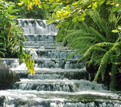 Cascada Serena en la Naturaleza