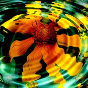 Reflejo de Flor Vibrante