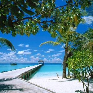 Paraíso Tropical
