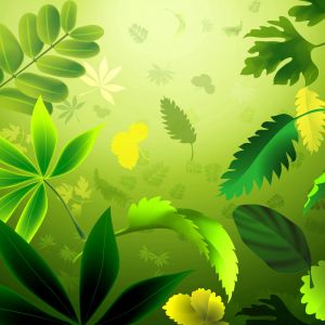 Fondo de Hojas Verdes