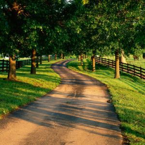 Camino Campestre Sereno