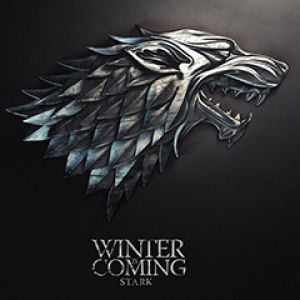El invierno se acerca - Stark