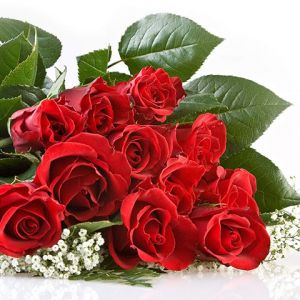 Hermoso Ramo de Rosas Rojas