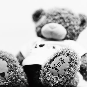 Teddy Bear Amoroso