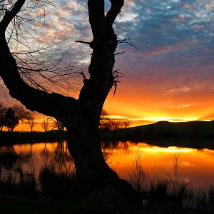 Impresionante Reflejo del Atardecer