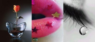 Rosa, Labios y Lágrima