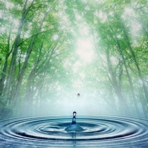 Gota de Agua en el Bosque