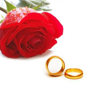 Anillos de Boda Dorados y Rosa Roja
